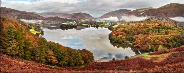 Trees of Grasmere - Canvas Print