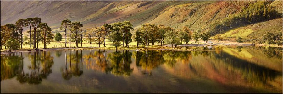 Buttermere Becalmed Morning - Canvas