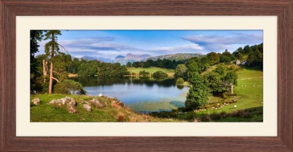 Summer Greens of Loughrigg Tarn - Framed