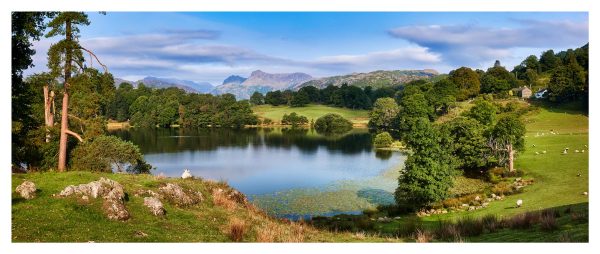 LD421-Summer-Greens-of-Loughrigg-Tarn Glossy Print