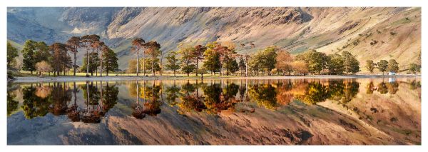 Buttermere Golds and Greens - Print