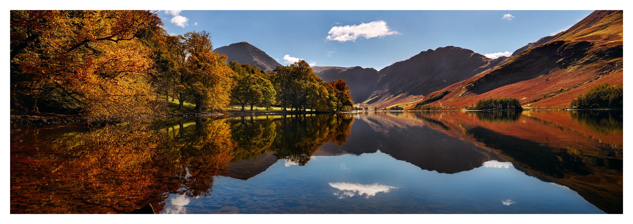 Buttermere Autumn Trees - Print
