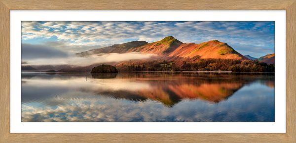 Golden Cat Bells framed print with Mount