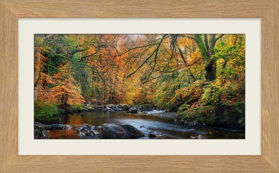 Golden Trees of Eskdale framed print with Mount