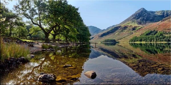 Buttermere Summer Trees - Canvas