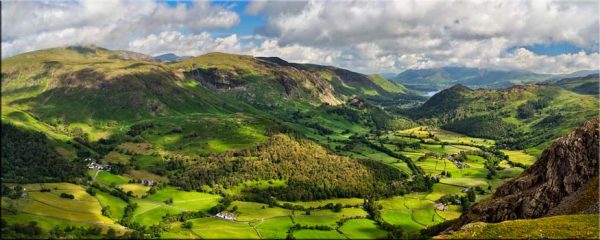 Borrowdale Rainforests - Canvas
