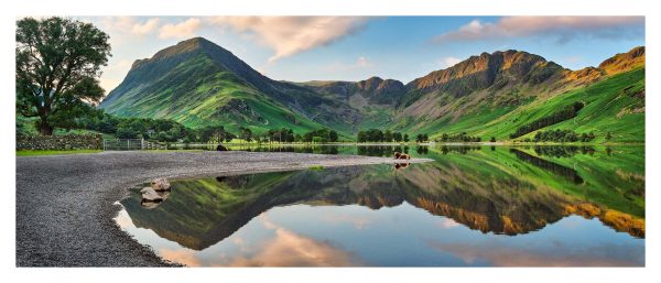 Buttermere Lounging Cow - Print