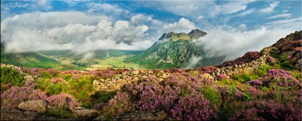 Langdale Heather and Clouds Panorama - Canvas