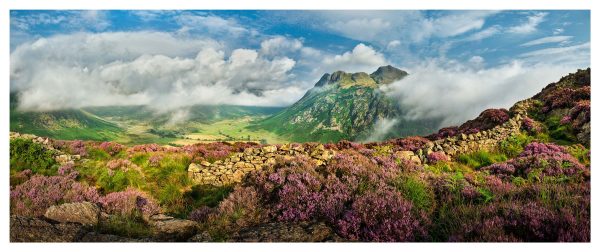 Langdale Heather and Clouds Panorama Glossy Print