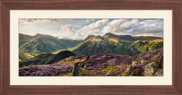 Summer Evening on Lingmoor Fell