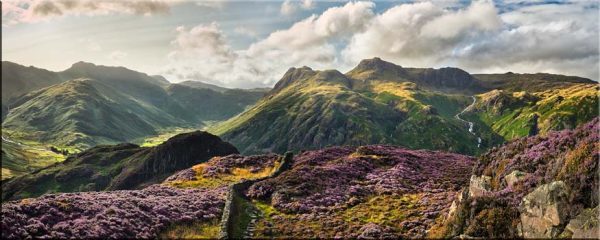 Summer Evening on Lingmoor Fell - Canvas
