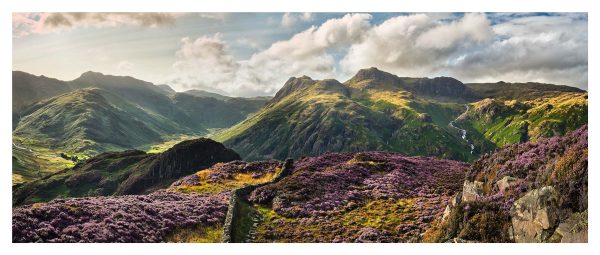 Summer Evening on Lingmoor Fell - Print
