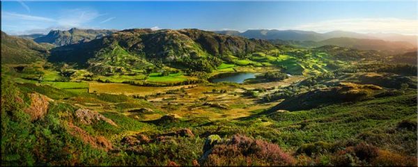 Little Langdale Tarn and Fields - Canvas