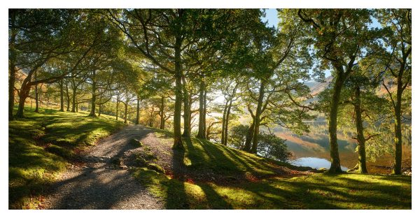 Buttermere Autumn Sunlight - Print