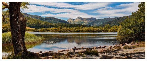 Elterwater Summer Afternoon - Glossy Print