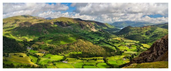 Borrowdale Rainforests - Print