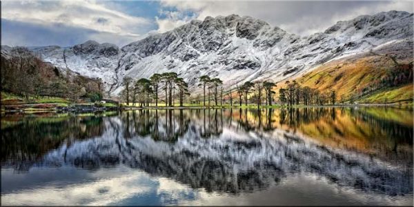 Buttermere Trees in Winter - Canvas