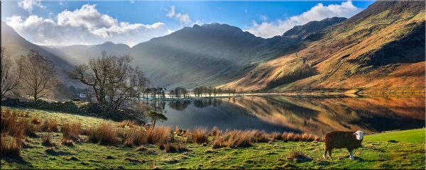 A Buttermere Morning - Canvas