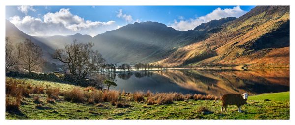 A Buttermere Morning - Print
