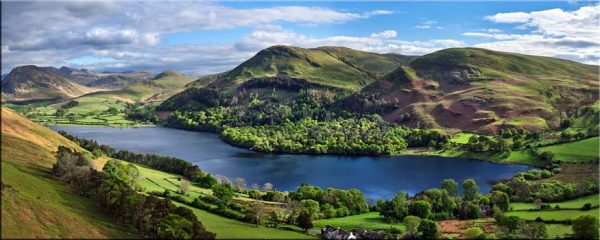 Spring Greens of Loweswater - Canvas