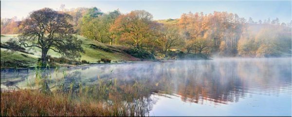 Loughrigg Tarn Autumn Mist - Canvas