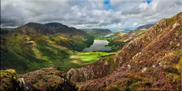 Fleetwith Heather to Buttermere Greens - Canvas