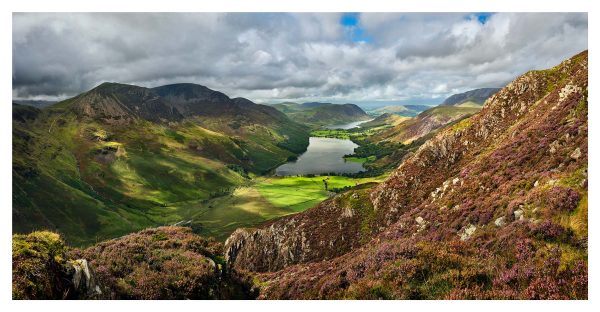 Fleetwith Heather to Buttermere Greens - Print