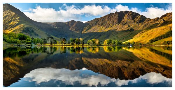 First Light on the Buttermere Pines - Print