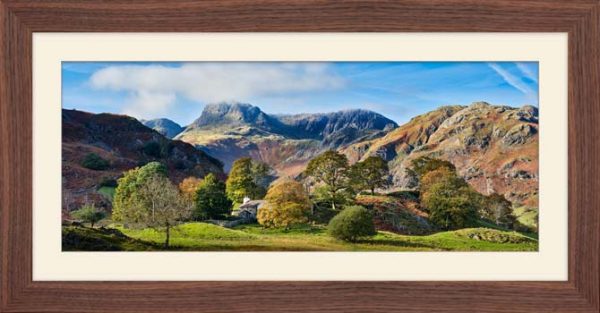 Golden Trees of Langdale