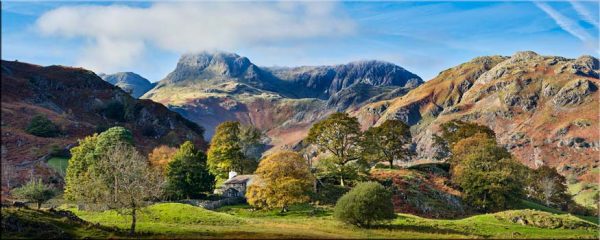 Golden Trees of Langdale - Canvas