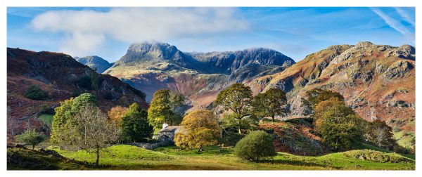 Golden Trees of Langdale - Print