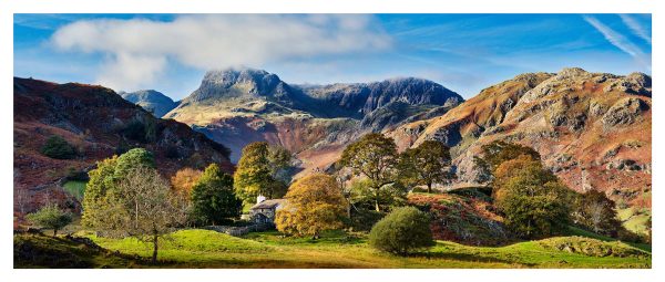 Golden Trees of Langdale - Glossy Print