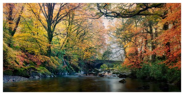 River Esk Bridge in Autumn - Print