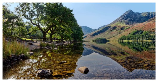Buttermere Summer Trees - Print