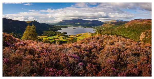 Colours of Summer on Kings How - Print