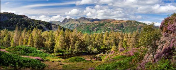 Holme Fell to Langdale Pikes - Canvas
