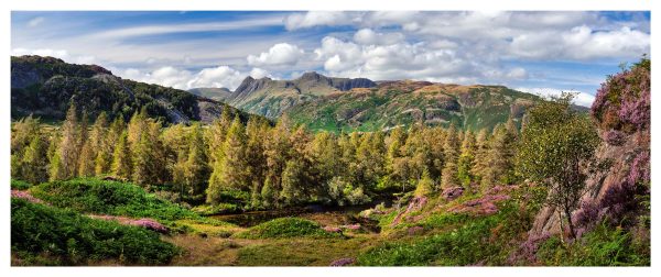 Holme Fell to Langdale Pikes - Glossy Print