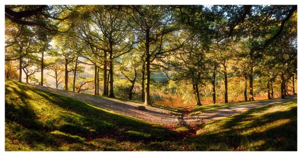 Shades of Autumn at Buttermere Glossy Print