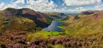 Buttermere - Mugs - Buttermere in Bloom
