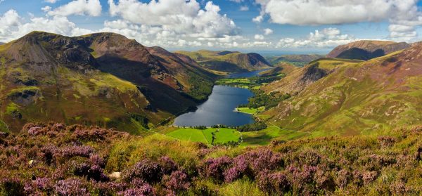 Buttermere - Mugs - Buttermere in Bloom