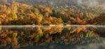 Grasmere and Rydal - Mugs - Autumn Colours of Rydal Water