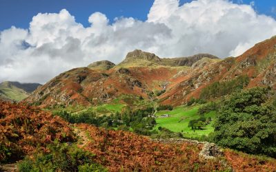 Langdale - Mugs - Cumbrian Way Great Langdale