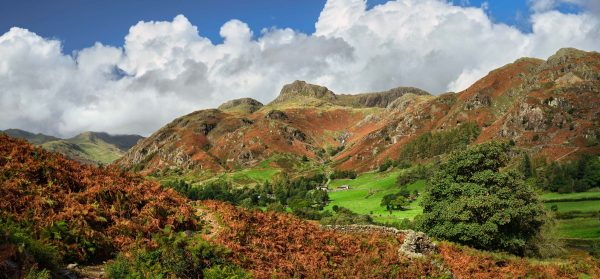 Langdale - Mugs - Cumbrian Way Great Langdale