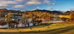 Waters and Tarns - Mugs - Wandering Sheep Loughrigg Tarn