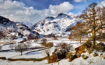 Langdale - Mugs - The Langdale Boulders in Winter