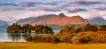 Derwent Water - Mugs - Derwent Water and Catbells in Morning Light