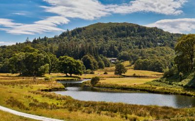 Elterwater - Mugs - River Brathay Walk