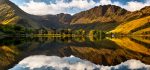 Buttermere - Mugs - First Light on the Buttermere Pines