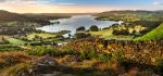 Windermere - Mugs - Windermere Summer Morning