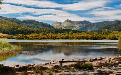 Elterwater - Mugs - Elterwater Summer Afternoon
